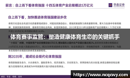 体育赛事监管：塑造健康体育生态的关键抓手